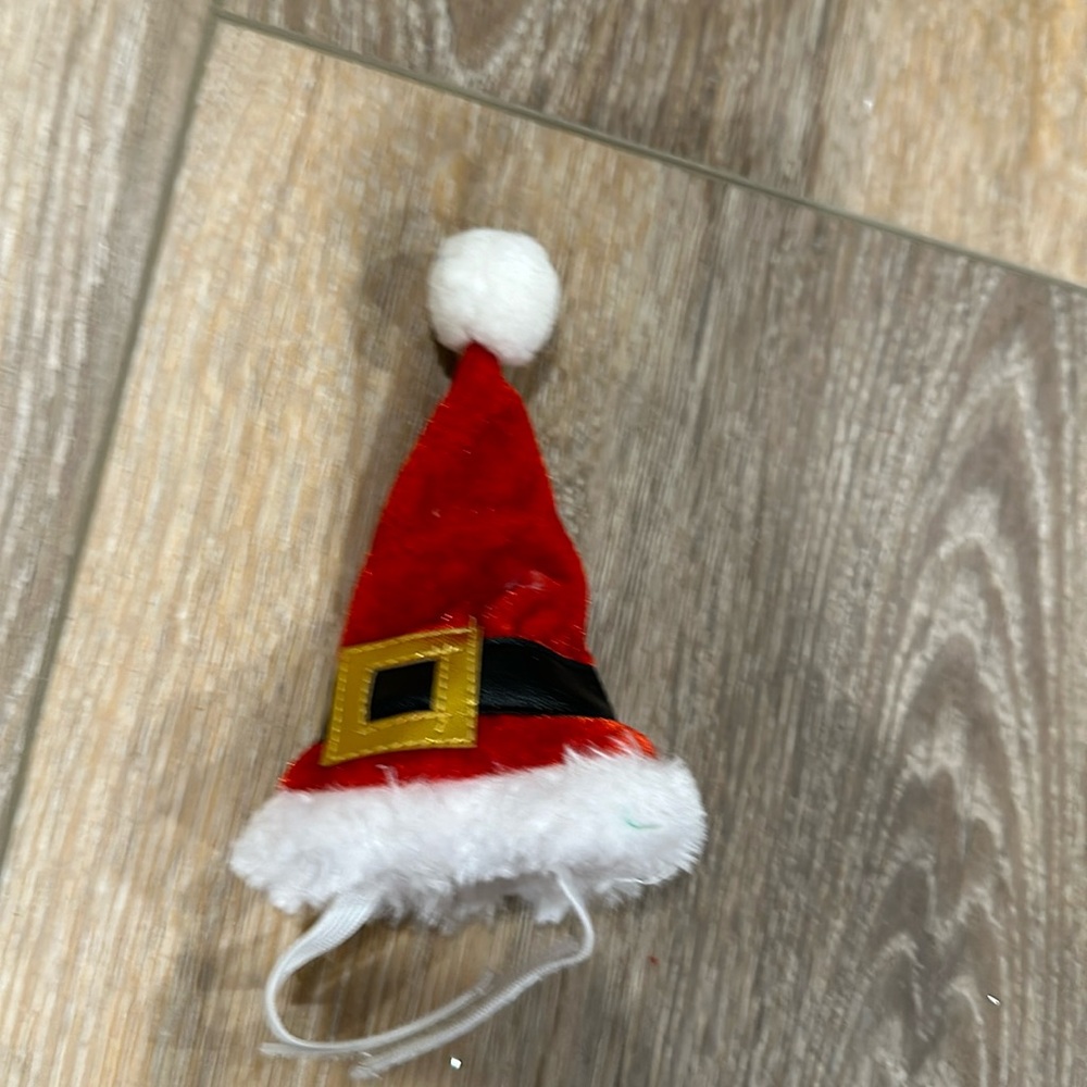 Small pet Santa hat